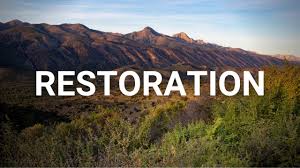 Prayer For Restoration